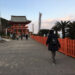 桜島を見てから日南へ、鵜戸神宮