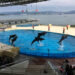 マリンワールド海の中道、福岡